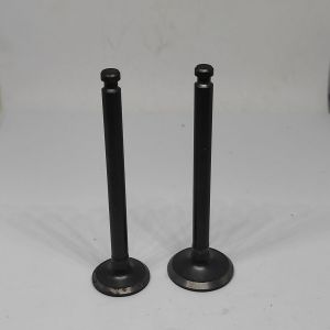 TS50 valve klep in ex mesin di esel yanmar ts 50