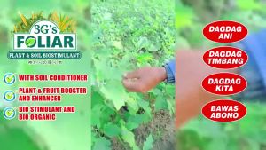 DLS 3GS SUPER FOLIAR 250ML RED (JAPAN TECHNOLOGY) with Instructions for Garden soil All In One Bustimulant