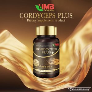 New‼️ CORDYCEPS PLUS 30 capsule