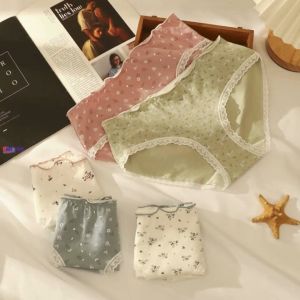 Celana Dalam Underware CD Wanita Bahan Katun Premium Undies ukuran 37 – 72 kg ( Size M – 2XL ) D46