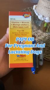 Free Syringe 3cc 120ml Papi OB Vitamins + Mineral Pet Vitamins Syrup