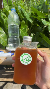 เอ็นกรีน เซตบำรุงต้น บำรุงดอก แตกยอด แตกใบ