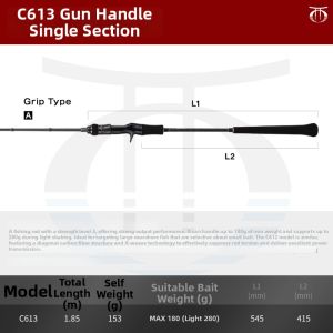 Tailwalk | Lightweight Metal Jig Sea Fishing Rod Suitable for Fast Jerk and Slow Roll Lures