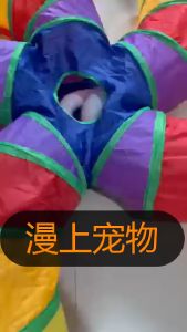 เล่นแมว อุโมงค์ 3/1 สี่เหลี่ยม สำหรับสัตว์เลี้ยงพับ ลูกสูง 15 ปริมาณ เรียบร้อย อุโมงแมว