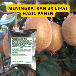 Pupuk Booster Kiwi / Obat Booster Buah Kiwi / Pupuk Booster Buah Kiwi / Pupuk Buah Kiwi