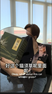 正宗猫须茶Teh Misai Kucing | 天然降血压 降尿酸 |痛风克星 |排毒补肾 |健康养生茶| 化解肾结石 Reduce diabetes| Uric Acid | Gout Relief Herbal Tea | Kidney Detox Tea | Relief Kidney Stones Naturally