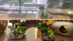 ของแต่งตู้ปลา ของตกแต่งตูปลา สะพานเรซิน ตกแต่งตู้ปลา สะพานถ้ำหินอุปกรณ์ประดับตกแต่งตู้ปลา จัดส่งไว