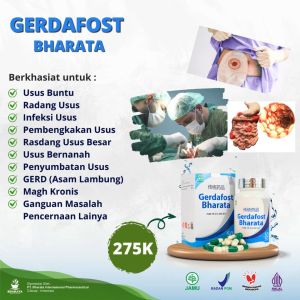 Obat Gerd Usus Buntu Radang Pencernaan Gerdafost Bharata 100% Asli Paling Ampuh