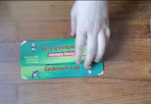 HomeBox 🇸🇬 10PCS Cockroach Trap Lizard Trap Sticker Glue Sticky Catcher - Fast Delivery - Singapore Stock - 3 Years Shelf Life - Multi-use - Family Safe