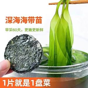 Special Fresh Dried Sealetia for Hot Pot and Salad Sea Vegetable Pancake