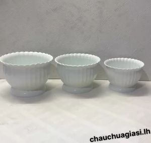 Chậu nhựa trồng cây (Chậu khía bầu)