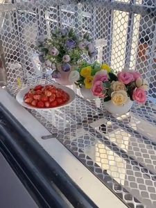 500ปีไม่เสีย ตาข่ายพลาสติก กว้าง 80 ซม./50 ซม./30 ซม.X 5 ม.ระยะห่างรู 0.8 /1.2/1.8ซม ตาข่ายPVC ที่กั้นล้อมรั้ว ล้อมรั้ว