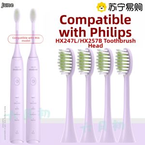 June Sixth Suitable Philips S3pro Electric Toothbrush Head HX2471/2571/257B/247L Replacement 2585 Adult Medium Bristle Deep Cleaning