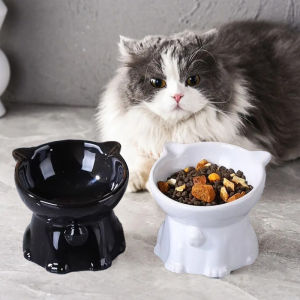 Tilted Cat Food Bowl Elevated Cat Bowl Ergonomic Raised Cat Food Bowl Anti Vomiting Plastic Feeding Bowl Non Slip for Cats Dogs