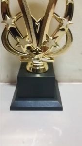Universal Plastic Gold Trophy 22 cm ( 415 )( Customize Available )
