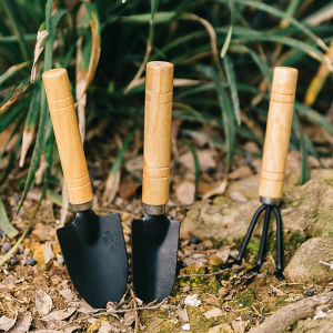 Gardening 3-piece set: Vegetable planting flower potting tools small shovel flower raising tools