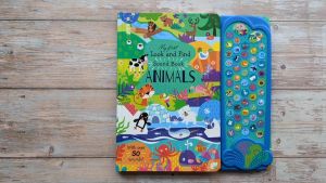 Sách âm thanh cho bé 50 nút - My First Look and Find Sound book sách nhạc điện tử phát ra âm thanh cho bé 1 2 3 4 5 tuổi