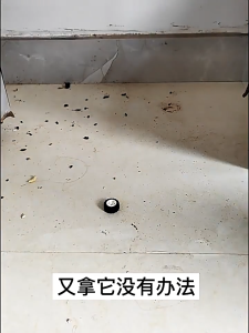 Penghalau Tikus Ubat Tikus Paling Penghalau Tikus Paling Natural Mouse Repellent Ball Rodent Repellent Drive Away MouseMosquitoCockroach Harmless To Human Body