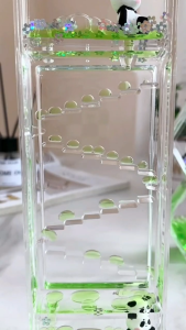 Jam Pasir Cair Panda & Oil Hourglass: Mainan Desain Unik untuk Meja Anda