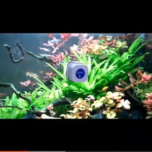 SOBO Mini Magnetic Cleaner Magnet