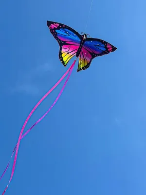 Colorful butterfly kites flying Outdoor toys sports animal kite professional kite wind kites sting line dragon kites factory