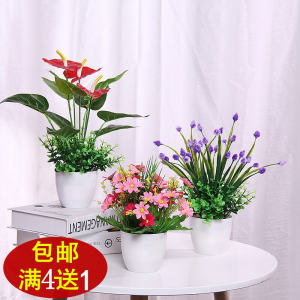 Bình Hoa Nhựa Trang Trí Trong Nhà Phòng Khách Hoa Nhựa Chống Thấm Nước Phong Cách Hiện Đại Trang Trí Nhà Cửa Hoa Nhựa