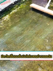 แปรงขัดพื้น แปรงลวดสเตนเลส ด้ามยาว 20/30/40CM เหล็กกล้าไร้สนิม แปรงขัดพื้นอเนกประสงค์ แข็งแรง ทนทาน ไม่ต้องก้ม ขัดพื้น คราบหนัก พื้นปูน พื้นกระเบื้อง พื้นโรงรถ กลางแจ้ง