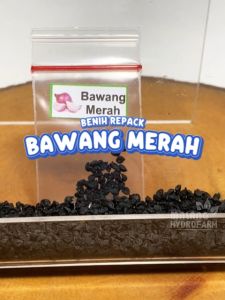 Benih Bawang Merah Unggulan berkualitas biji bibit tanaman sayur sayuran hydroponik hidroponik