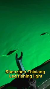 Perangkap Ikan Lumen Tinggi 12V-24V Lampu Berkemah Malam LED