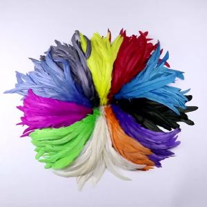20Pcs Wholesale Rooster Feathers 25-30cm Natural Plumes for Xmas Party Costume Headdress DIY Craft Jewelry Home Art Decor