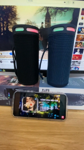 ( SALE XẢ HẾT ) Loa Nghe Nhạc Không Dây Bluetooth FLIP 6  FLIP 8 Loa Bass Mạnh Âm Thanh Sống Động  Thiết Kế Hình Trụ Gọn Nhẹ Tiện Lợi Phù Hợp mang Theo Mọi Lúc  Mọi Nơi Cho Bạn Không Gian Âm thanh Chân Thực