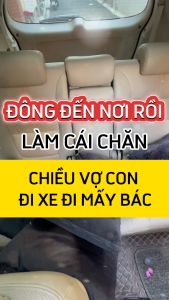 Gối và chăn (mền) 2 trong 1 (logo Hyundai) chất liệu lông tuyết - Sử dụng làm tựa lưng chăn đắp văn phòng hoặc ô tô tiện dụng Chăn kiêm gối Ô Tô