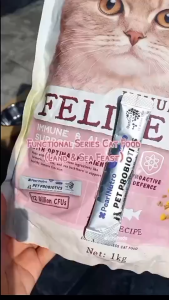 VEV Makanan Kucing Ayam Kering Beku Premium (1kg) dengan Probiotik Pet Freeze-Dried Treats 猫冻干鸡胸粒 猫粮