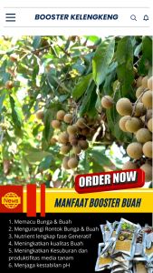 Booster Tanaman Kelengkeng / Pupuk Booster Hayati Khusus Tanaman Kelengkeng