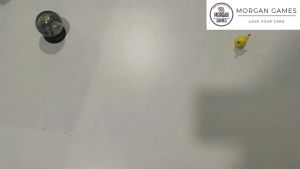 【Morgan Games】[Ready Stock] PU Leather Ring Binder and 9-Pocket Card Album Refill Pages (50pcs)