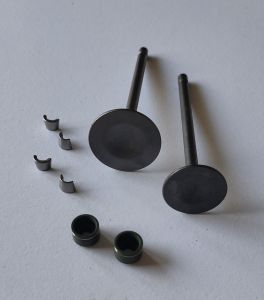 Klep Set 200cc Viar Karya Kaisar JiaLing  Motor Tiga Roda ( 2 klep  4 seal klep  4 Kuku Klep )