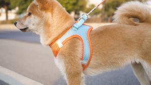 Pet Dog&Cat Vest Style Breathable Reflective Walking RopePortable Pet Harness Collars Adjustable Dog Harness