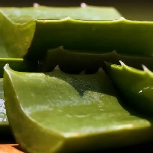 Aloe Vera & Vitamin E Soothing Gel | Hydrating Acne Spot Removing Face Night Cream Gel | Brightening Hydrating Aloe Vera Extracts | Moisturizing For All Skin | 300ml