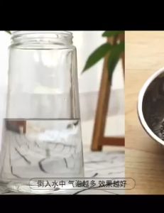 Hạt khử mùi cát vệ sinh cho mèo than hoạt tính Cat Litter chai 300g hấp thụ mùi giảm mùi hôi vệ sinh