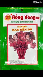 Hạt giống rau dền đỏ cao sản dễ trồng hạt giống Rồng Vàng