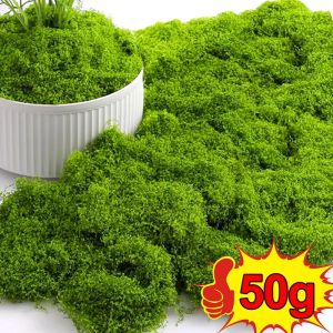 50/30g Artificial Green Plants Eternal Life Moss Grass Home Garden Floor Decoration Mini Landscape Fake Flower DIY Crafts Gifts