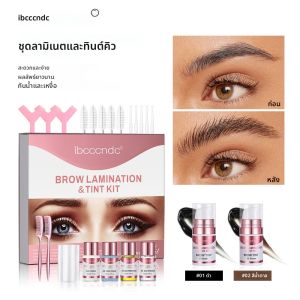 ถาวร Brow หรือ Lash Lift และ Tint Kit Brow เคลือบขนตายก Perming Lashes สีดําสีน้ําตาล Dye Eyes แต่งหน้า