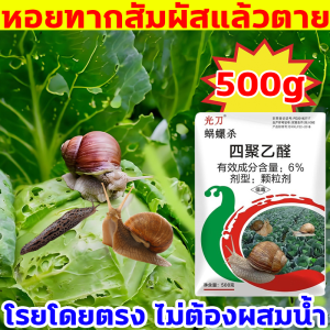 1วิ ฆ่าหอยทาก Guangdaoเมทัลดีไฮด์6% กำจัดหอยทาก อัตราการทำให้ตาย 100% ใช้ยา1ครั้ส10ปีไม่มีหอยทาก ฆ่าแมลงไม่ทำร้ายผัก ยาฆ่าหอยทาก สามารถใช้ในแปลงเพาะกล้า แปลงผัก สวนผลไม้ นาได ยากำจัดหอยทาก โรยโดยตรง ไม่ต้องผสมน้ำ ยาฆ่าหอย ยากำจัดหอยเชอรี่ ยาหอย