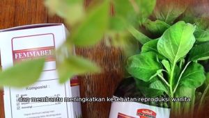 Madu Promil Femma Bee: Madu Ikhtiar Promil