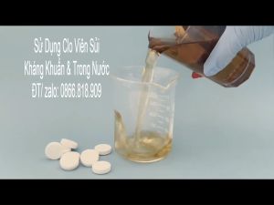 Hộp 1KG Clo Viên Sủi 2g - TCCA 90% Xử Lý Nước Hồ Bơi Sinh Hoạt