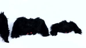 Big Black Plush Spider Halloween Horror Decor Giant Prank Prop 30-200cm Large Spider for Outdoor Chamber Party Decoration