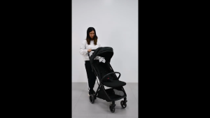 Giant Carrier Lexi Stroller with Auto-Fold & One-Hand Fold Feature Full Recline Seat Up to 25kg Weight Capacity Extendable Canopy Mosquito Net Leather Leg Rest Big Basket Carry Bag & Brakes for All-Around Comfort & Convenience