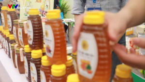 Mật ong Hoa Nhãn Nguyên Chất Tăng Đề Kháng Phục Hồi Sức Khỏe Đẹp Da CVDBEEHONEY 500g