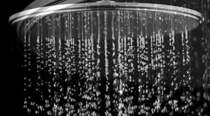 【COD+Local sellers】 304 high quality ROUND rain shower 8 inches GP0195R