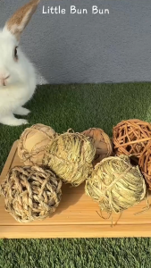 Molar ball 🏈 Timothy rattan hay rabbit hamster chinchilla guinea pig aquatic plant string chew bite toy play ball